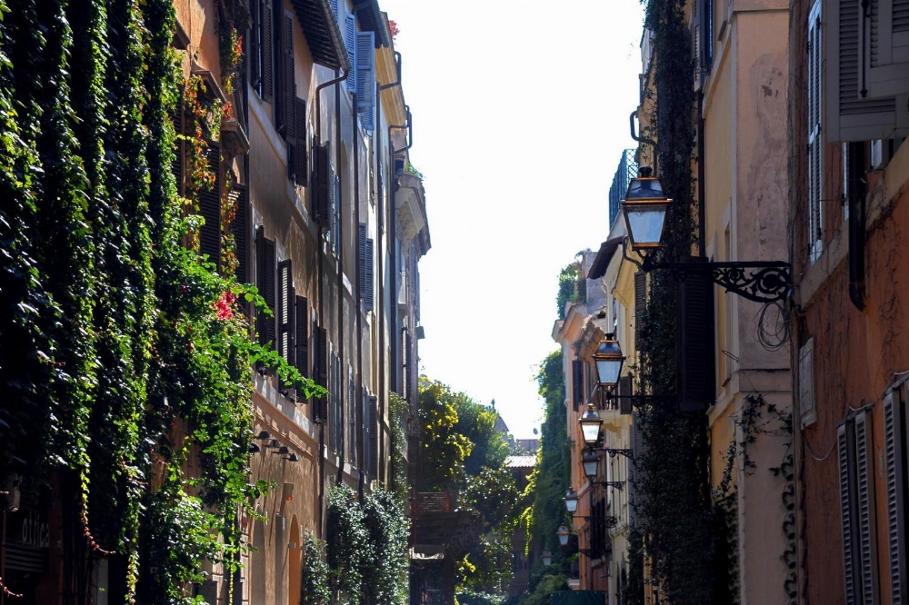 Margutta's Garden Main image