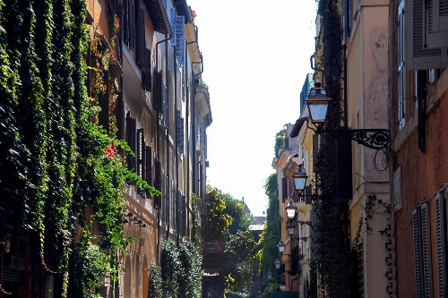 Margutta's Garden image 3