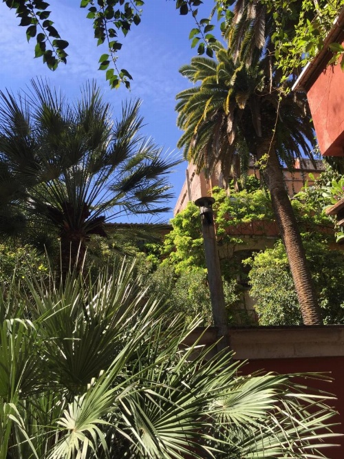 Margutta's Garden image 5